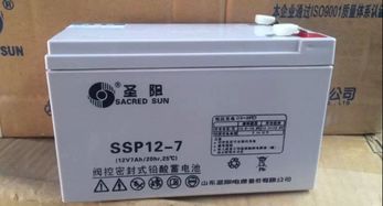 圣阳sacred蓄电池SP12 18 12V18AH 高性价比储能解决方案深度解析